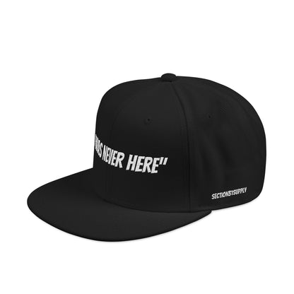 Section31Supply —  "I Was Never Here" Embroidered Snapback Hat